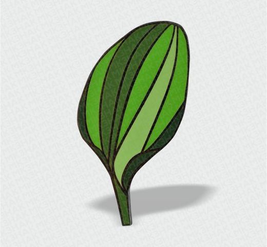车前草