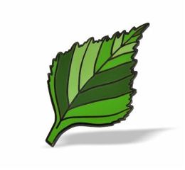 Petite feuille