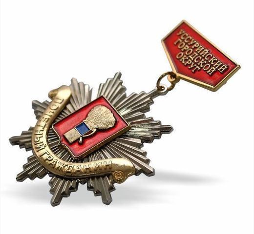 Honorary Citizen of Ussuriysk Urban District breast badge 2