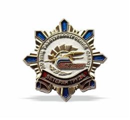 Pin's Vétéran du travail AO NPTs Salut