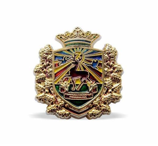 Anstecknadel „Wappen“