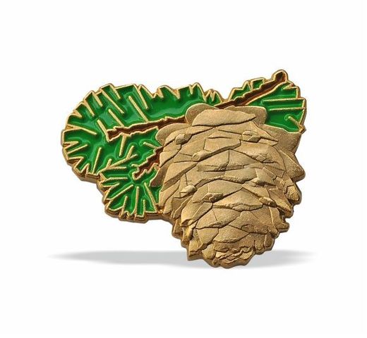 Pine Cone badge