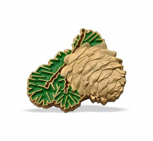 Pine Cone badge 2