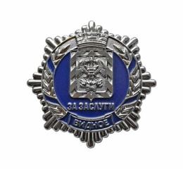 Insigne de poitrine Ville de Vidnoïe