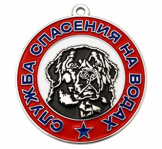 Insignia de pecho «Servicio de Salvamento Acuático»