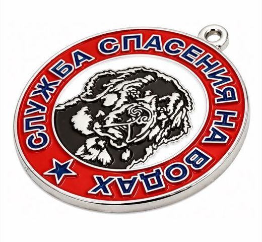 Insignia de pecho «Servicio de Salvamento Acuático» 2