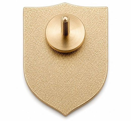 Insignia de pecho «Graduado de Skopin» 3