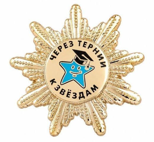 DOChU Sozvezdiya Center breast badge