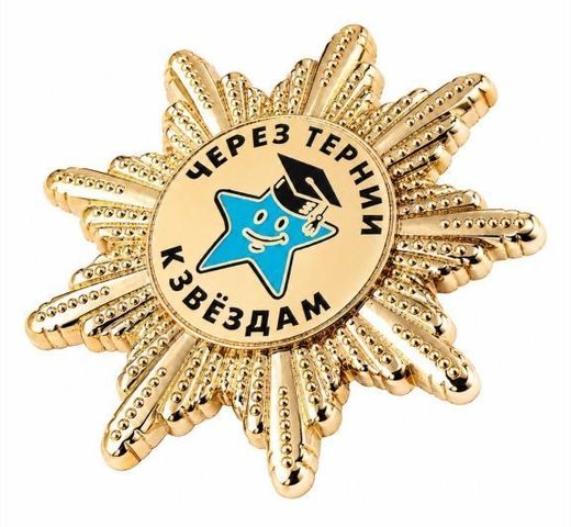 DOChU Sozvezdiya Center breast badge 2