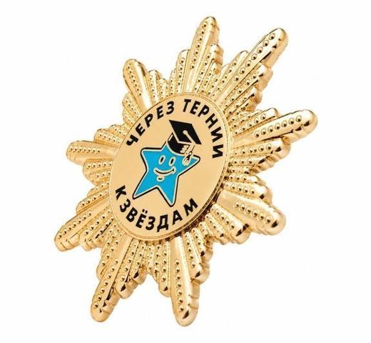 DOChU Sozvezdiya Center breast badge 3