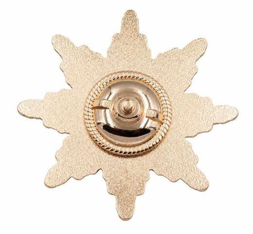 DOChU Sozvezdiya Center breast badge 4
