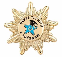Insigne de poitrine « DOChU Centre Sozvezdia »