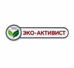 Pin's « Éco-activiste »