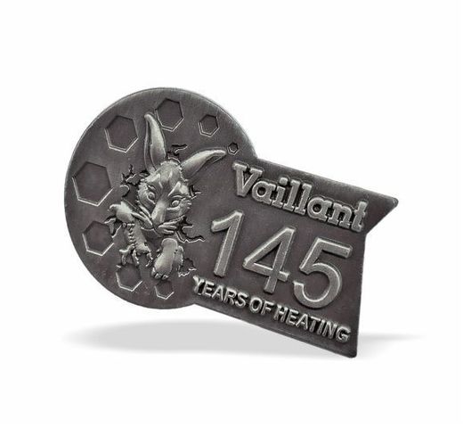 Pin «Vaillant» 2